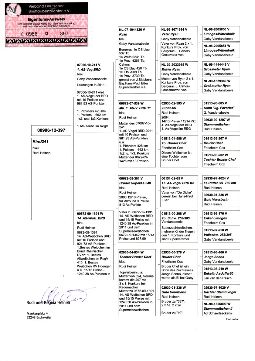 Rodokmen